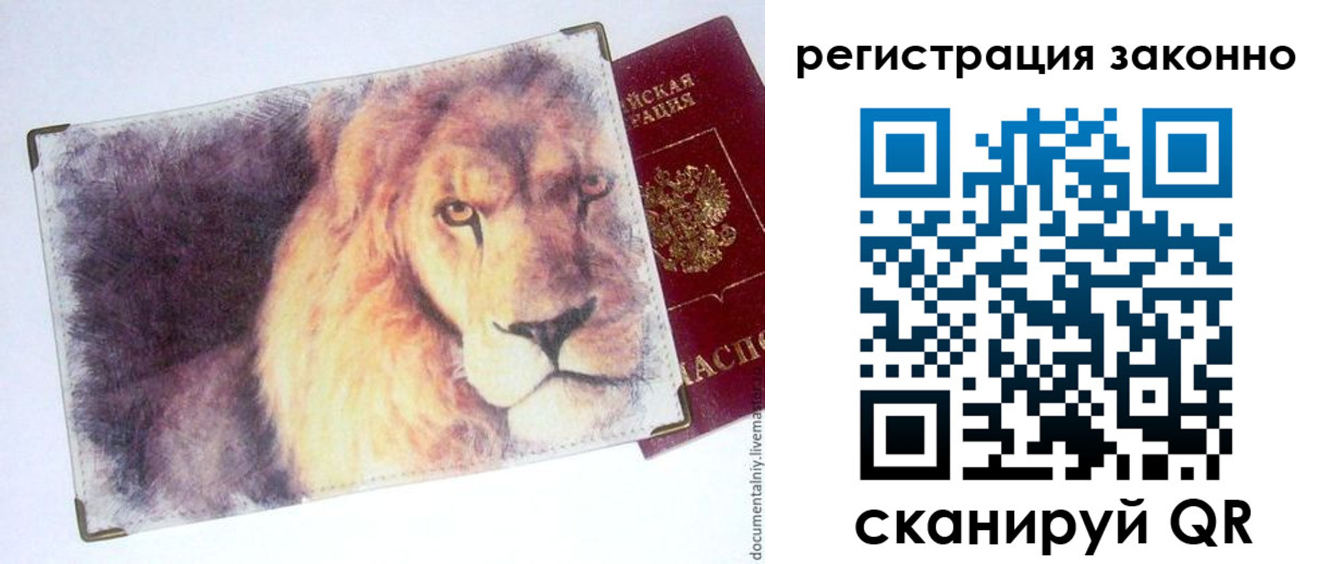 прописка гарантия в Кизеле